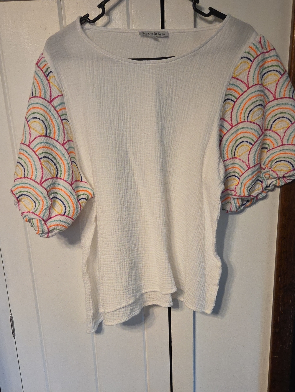 See and be Seen White Puff-Sleeve Top with Multicolor Embroidery